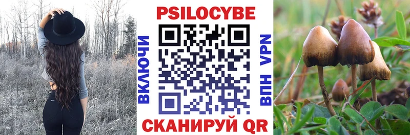 даркнет формула OMG ONION Городец Псилоцибиновые грибы GOLDEN TEACHER