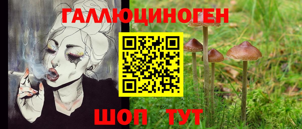 Галлюциногенные грибы Cubensis Городец
