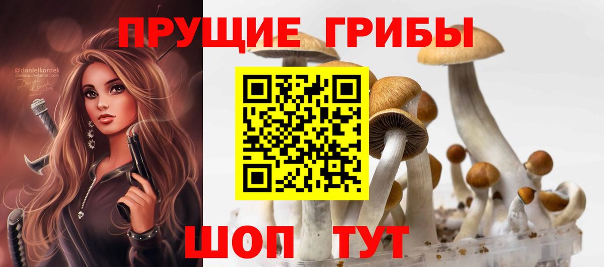 Городец  Псилоцибиновые грибы Cubensis  купить наркоту  Вход с VPN 